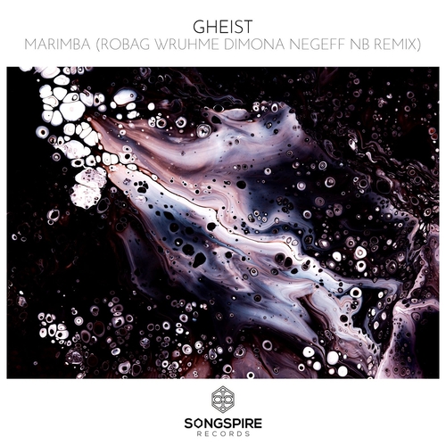 GHEIST - Marimba - Robag Wruhme Dimona Negeff NB Remix [SSR243]